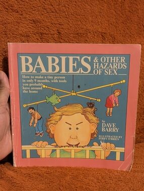 Babies & Other Hazards of Sex ( Paperback Book )